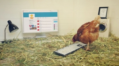 chicken-tweet-hed-2015