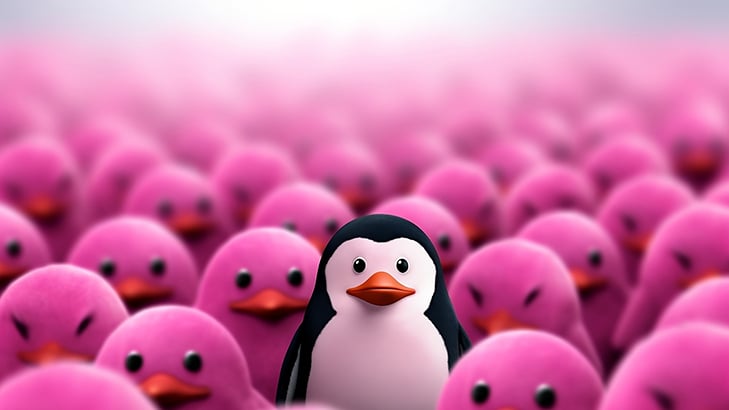 Standing out from the crowd