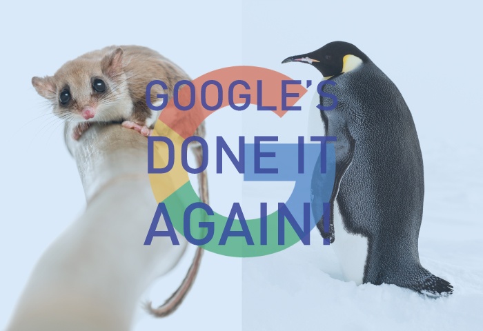 penguin and possum SEO google penguin and possum SEO google
