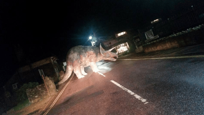 dinosaur.png dinosaur.png